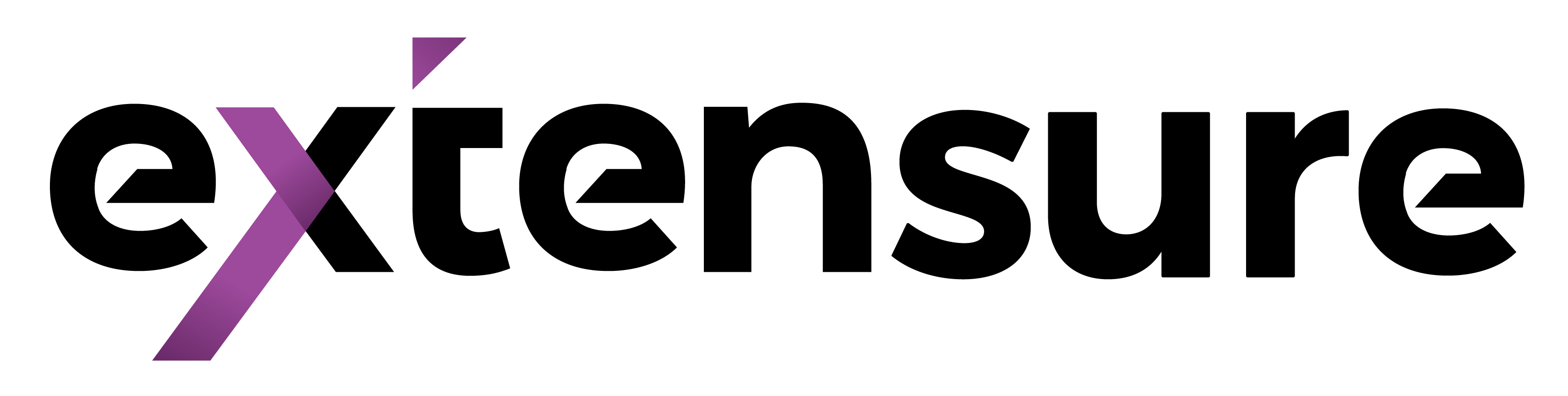 Extensure Financial Services